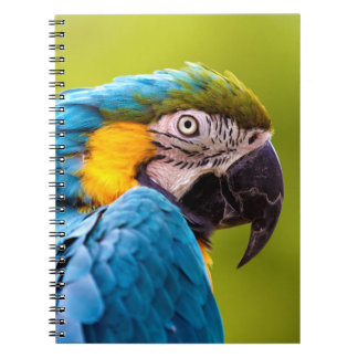 Parrot Notebook