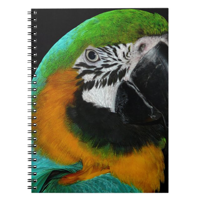 Parrot Notebook (Front)