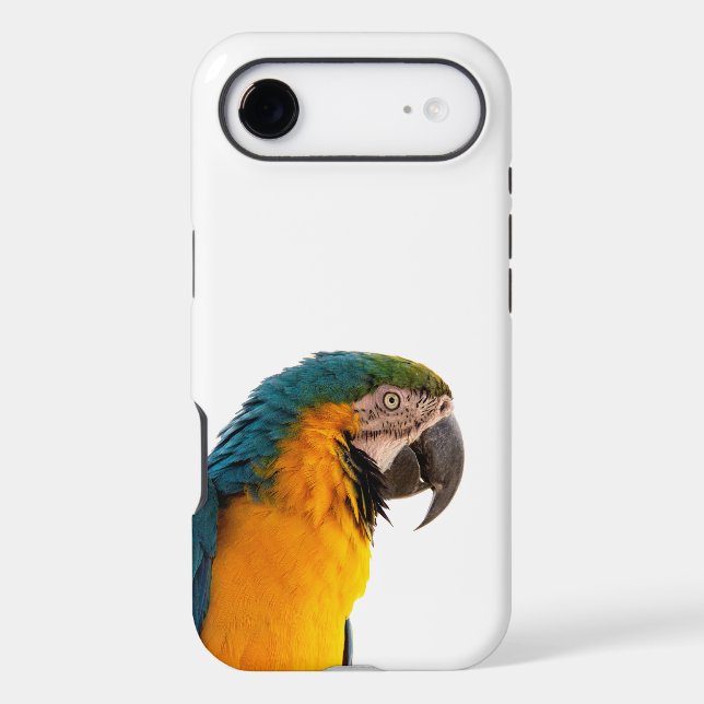 Parrot Notes (Back)