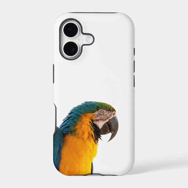 Parrot Notes (Back)