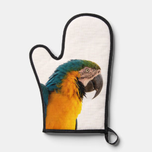 Parrot Notes Oven Mitt