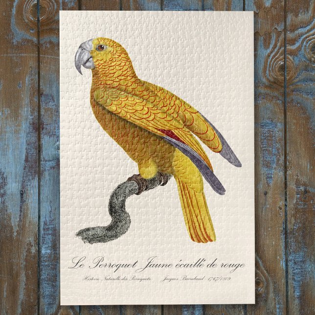 Parrot of Paradise of Cuba, Psittacus Paradisi Jigsaw Puzzle (Le Perroquet Jaune ecaille de rouge. Jigsaw Puzzle)