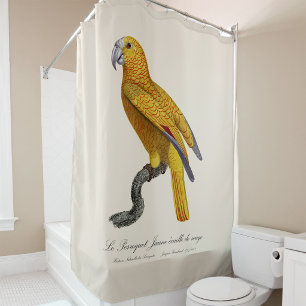 Parrot of Paradise of Cuba, Psittacus Paradisi Shower Curtain
