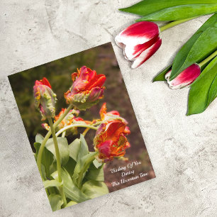Parrot Orange Tulips Thinking Of You Postcard