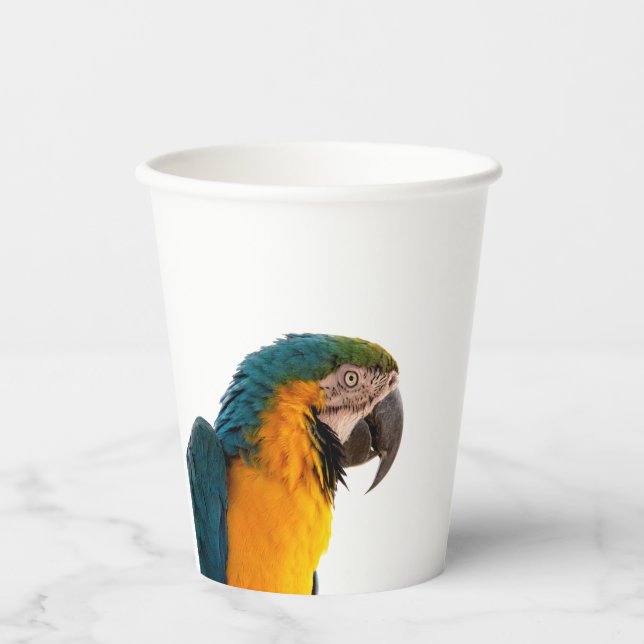 Parrot  paper cups (Front)