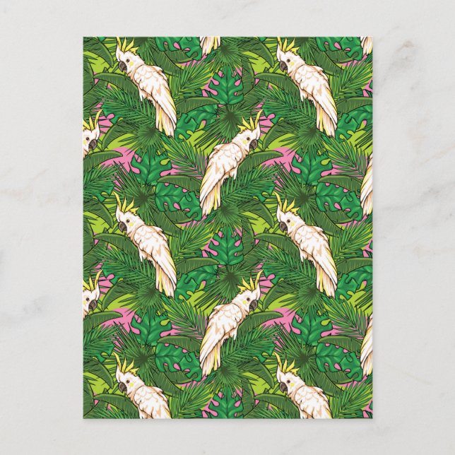 Parrot Pattern With Palm Leaves Postcard (Front)