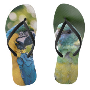 Parrot Patterned Thongs