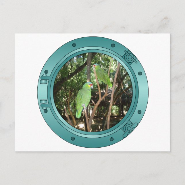 Parrot Porthole Postcard (Front)