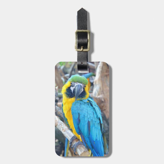 Parrot Portrait Luggage Tag (Front Vertical)