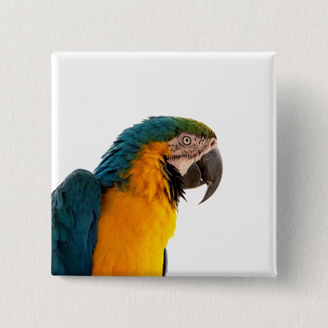 Parrot Post-it Notes 15 Cm Square Badge (Front)