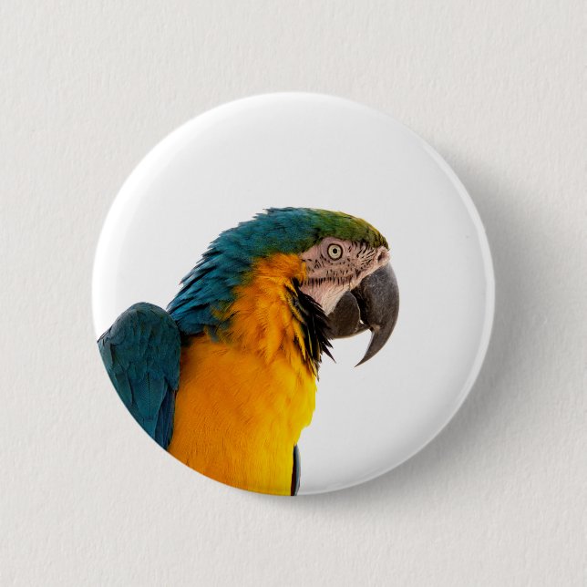 Parrot Post-it Notes 6 Cm Round Badge (Front)