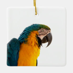 Parrot Post-it Notes Ceramic Ornament