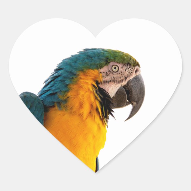 Parrot Post-it Notes Heart Sticker (Front)
