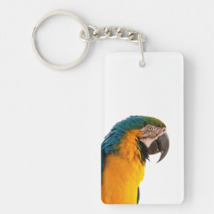 Parrot Post-it Notes Key Ring