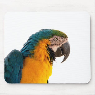 Parrot Post-it Notes Mouse Pad