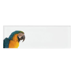 Parrot Post-it Notes Name Tag