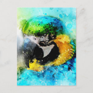 Parrot Postcard