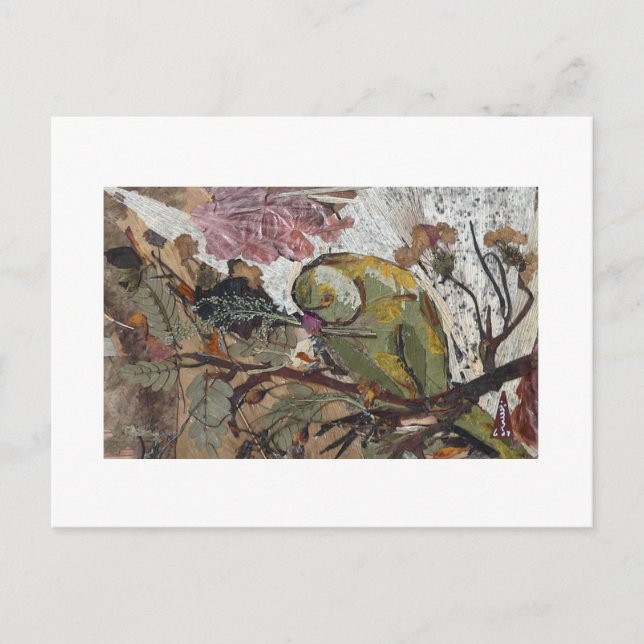 parrot postcard (Front)