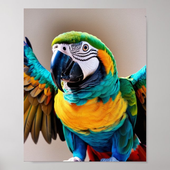 Parrot Poster (Front)
