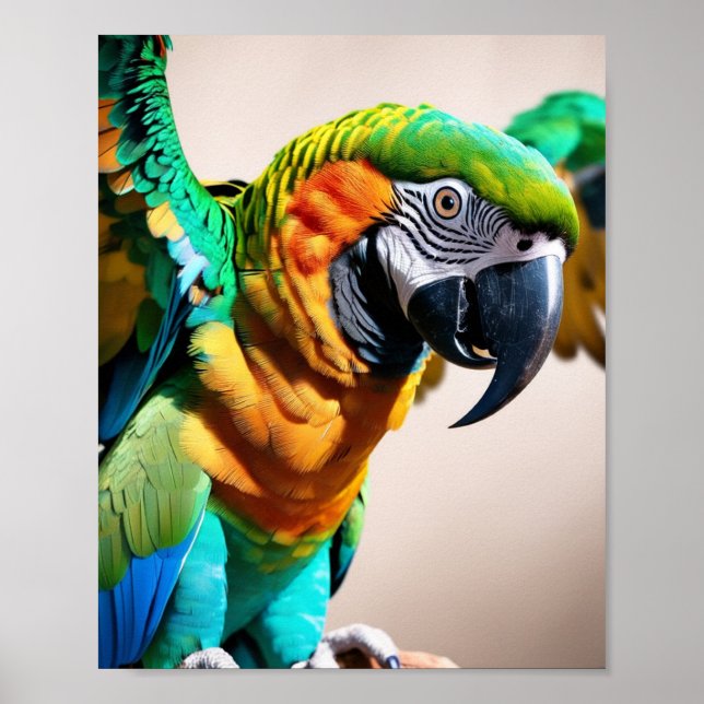 Parrot  poster (Front)