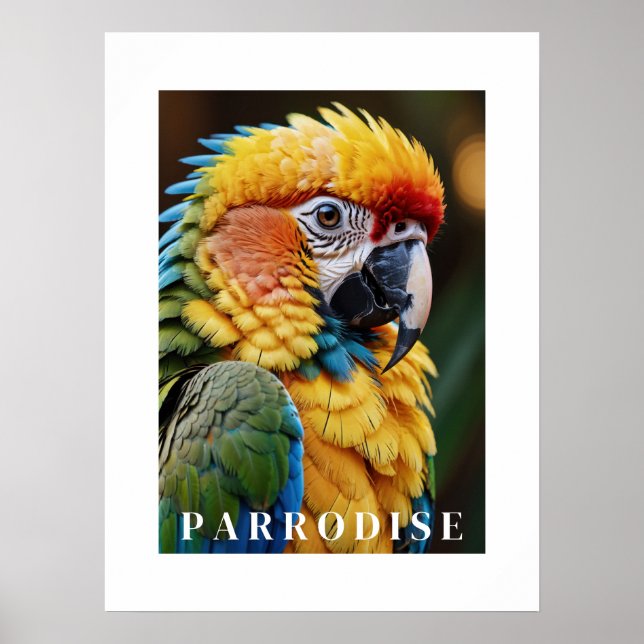 Parrot Poster (Front)