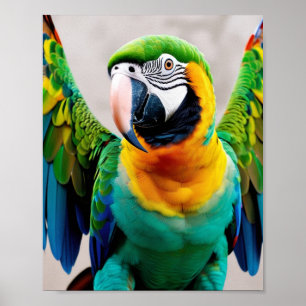 Parrot  poster