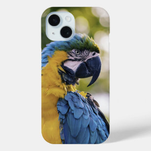 Parrot Profile Portrait Photograph iPhone 15 Case