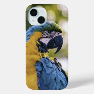Parrot Profile Portrait Photograph iPhone 15 Case