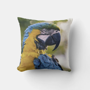 Parrot Profile Portrait Photograph Cushion