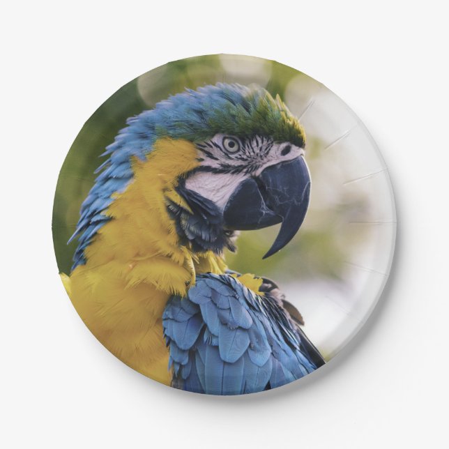 Parrot Profile Portrait Photograph Paper Plate (Front)