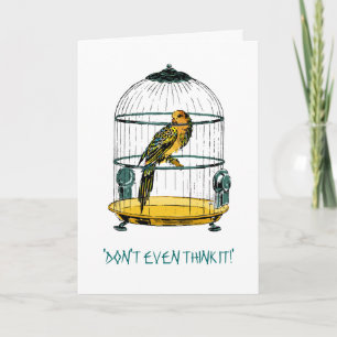 Parrot Quote Greeting Card