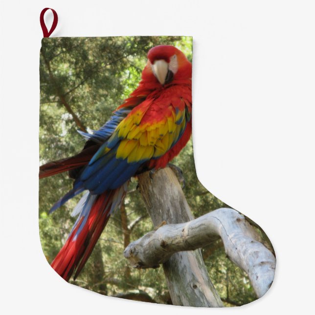 Parrot Red Macaw Bird Colourful Large Christmas Stocking (Front)