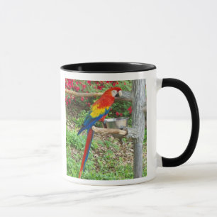 Parrot Ringer Mug