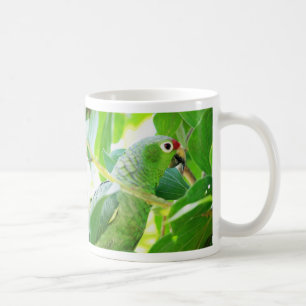 Parrot, Rio Chagres, Panama Coffee Mug