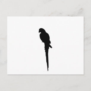 Parrot silhouette postcard