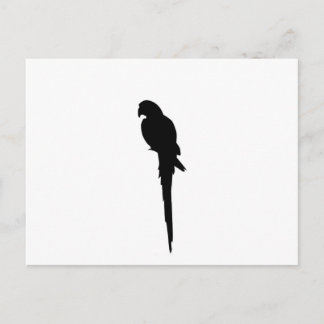 Parrot silhouette postcard