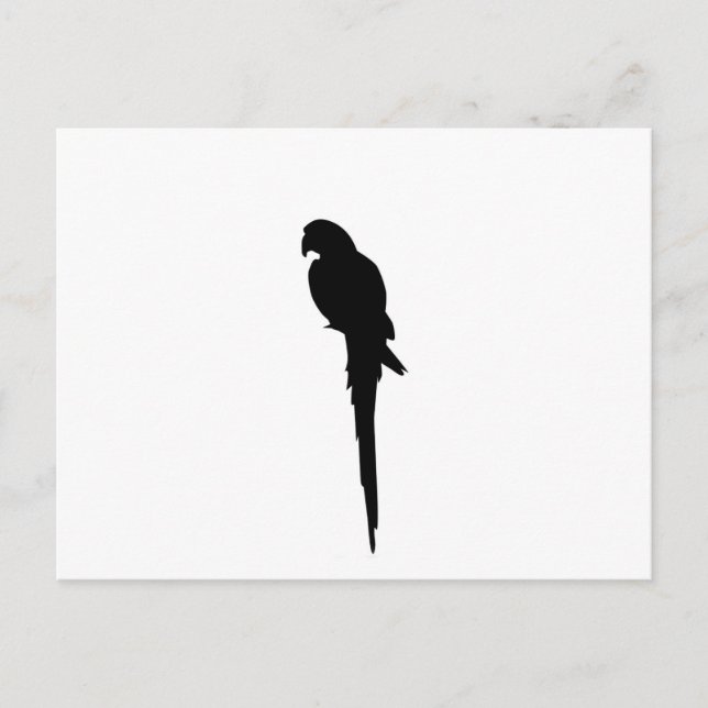 Parrot silhouette postcard (Front)