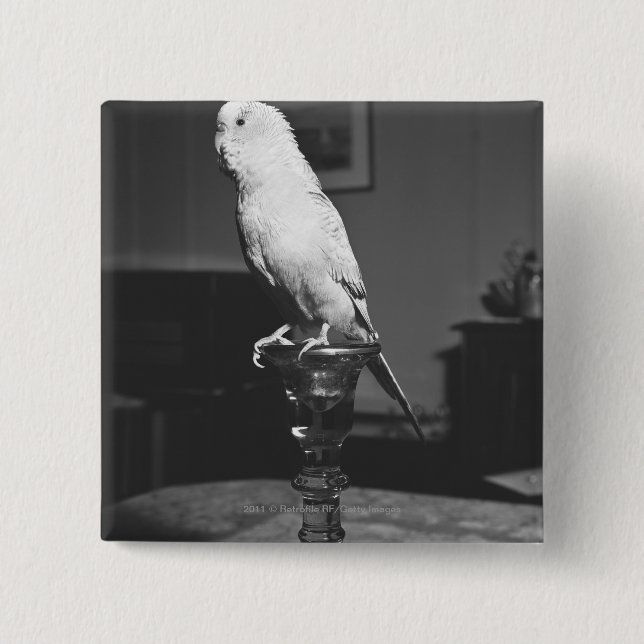 Parrot sitting on candlestick B&W 15 Cm Square Badge (Front)