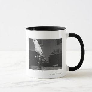 Parrot sitting on candlestick B&W Mug