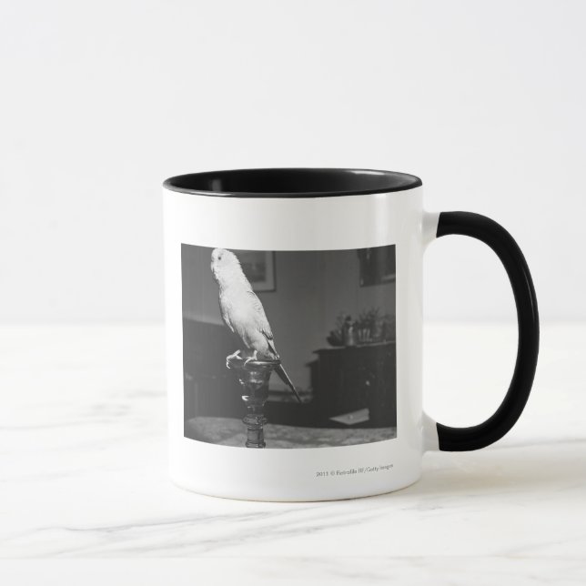 Parrot sitting on candlestick B&W Mug (Right)