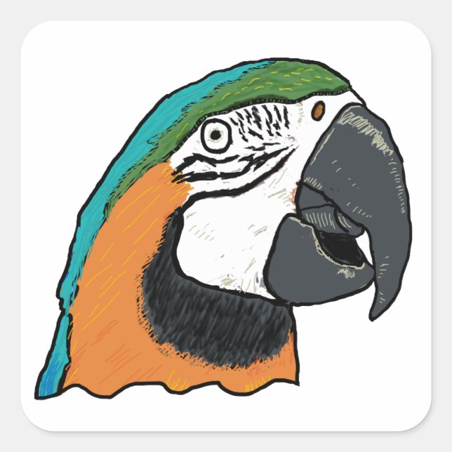 Parrot Square Sticker (Front)