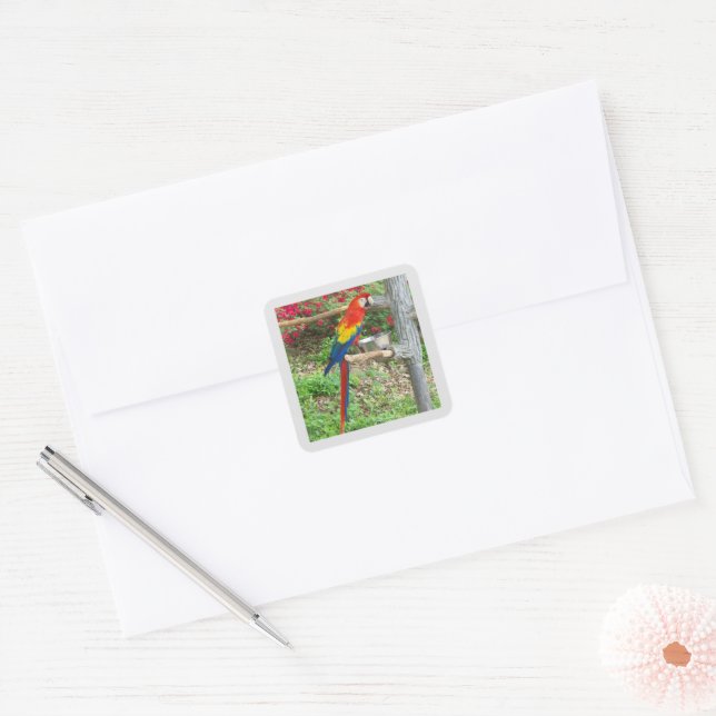 Parrot Sticker (Envelope)