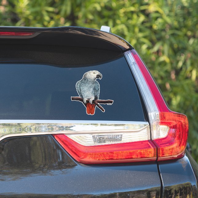 Parrot Stickers African Grey Parrot Stickers (Car Side)