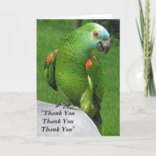Parrot Thank You Card