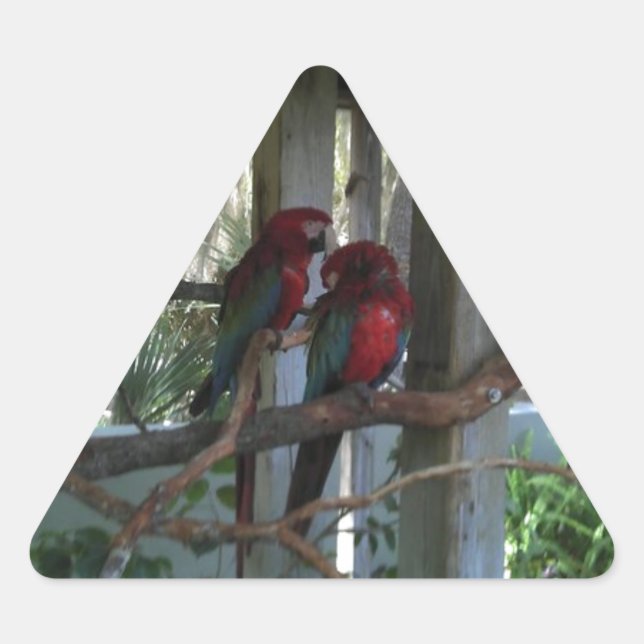 Parrot Triangle Sticker (Front)