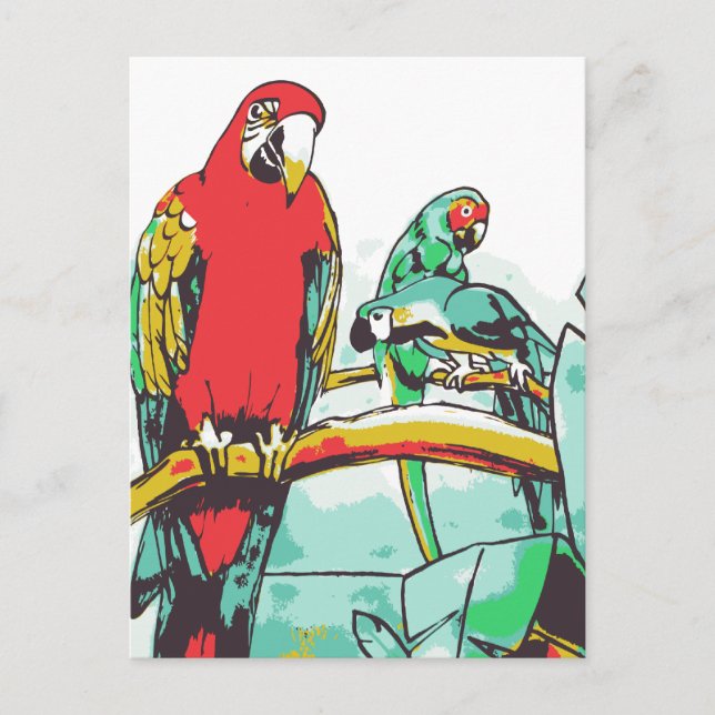Parrot Trio Postcard (Front)