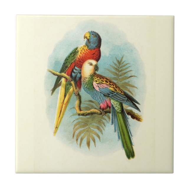 PARROT TROPICAL BIRD 10 CERAMIC TILE (Front)