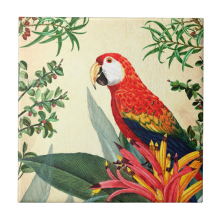 PARROT TROPICAL BIRD 8  CERAMIC TILE