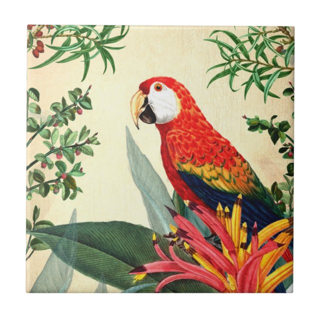 PARROT TROPICAL BIRD 8  CERAMIC TILE (Front)