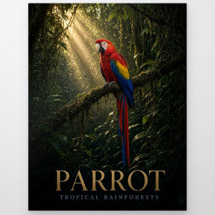 Parrot Tropical Rainforests Wildlife ANIMAL Postcard